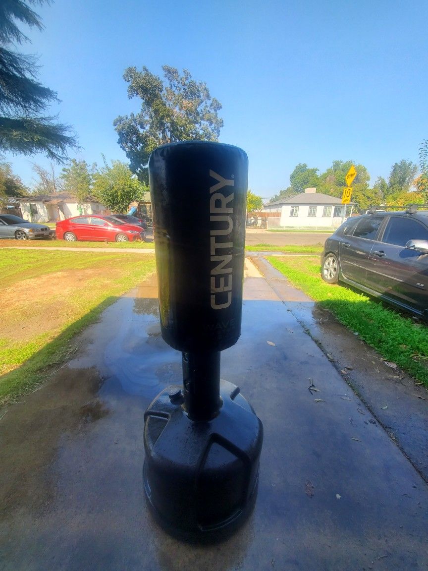 Century Punching Bag