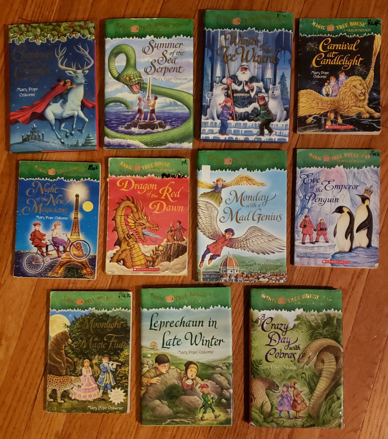 Magic Tree House Merlin Mission series lot of 11 books