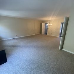 Carpet / Rug - No Pets (wall to wall)