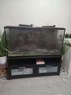 55 Gallon Fish Tank