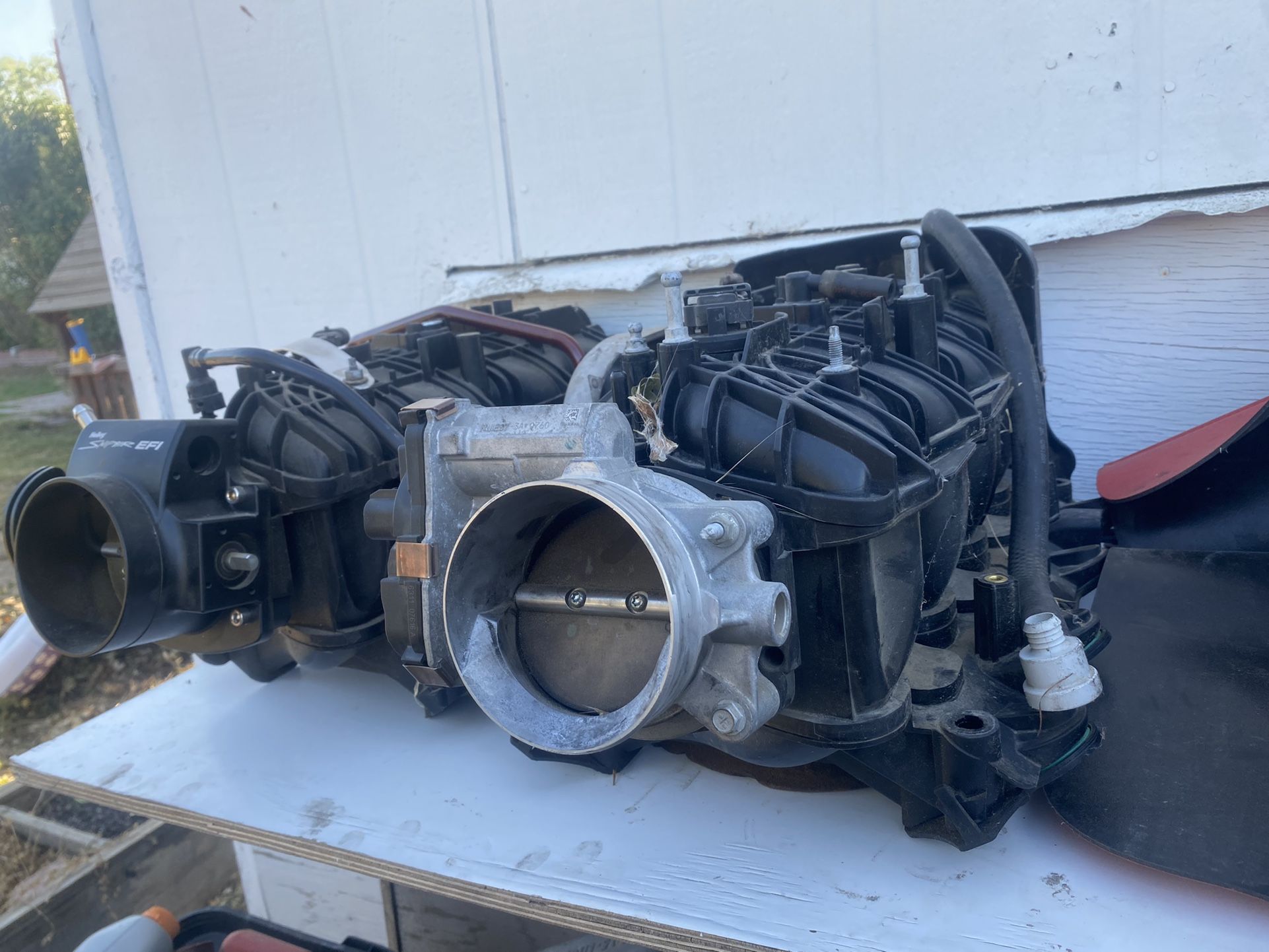 TBSS INTAKE
