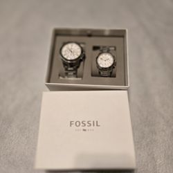 New Fossil Set Of 2