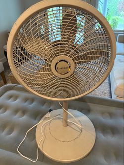 3 speed oscillating electric fan