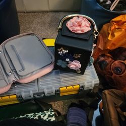 Camera Purse And Jewelry  Travel Bag