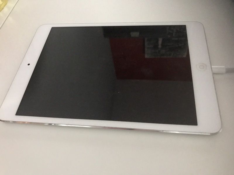 iPad mini a1432