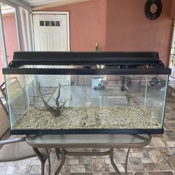75 gallon Aquarium Fish Tank .