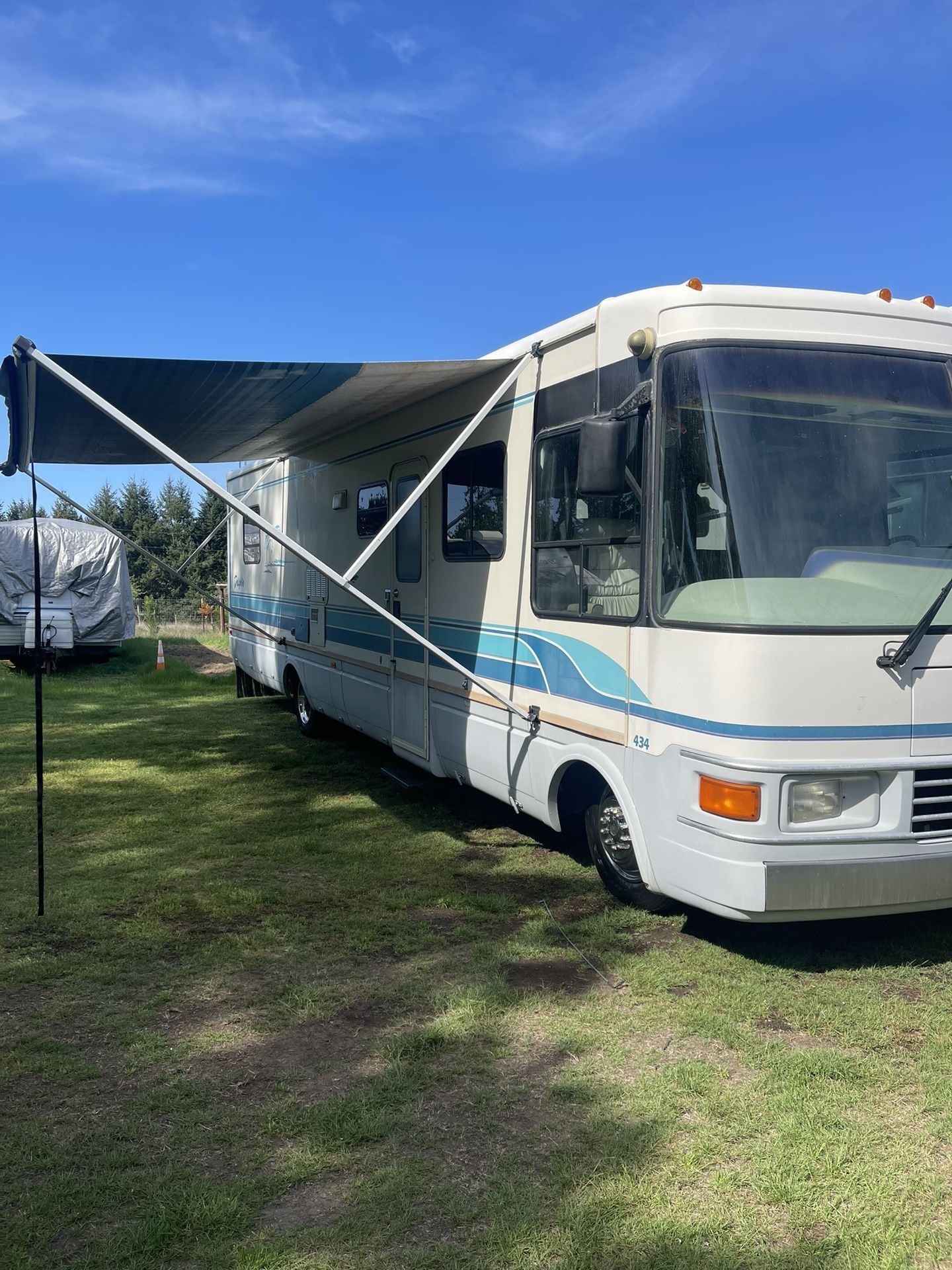 1994 National Dolphin