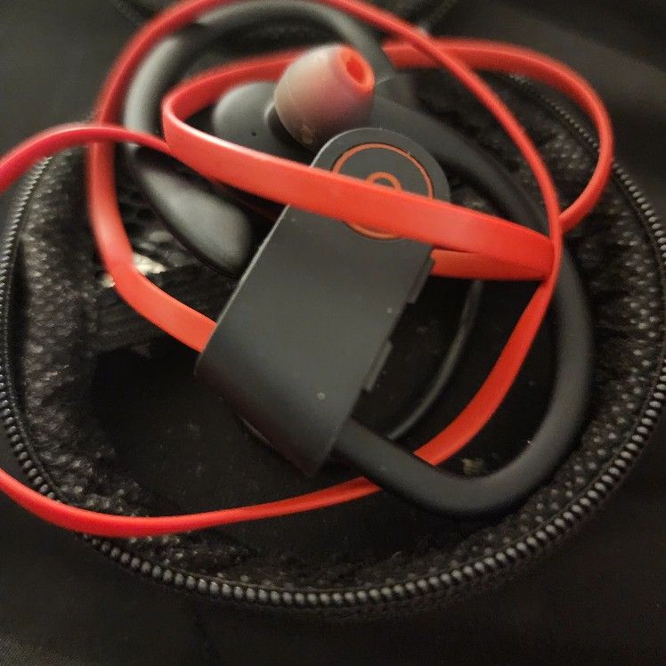 Earbuds