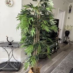 Pretty Artificial Plant Bamboo Tree 6 Ft Tall! Brand New
