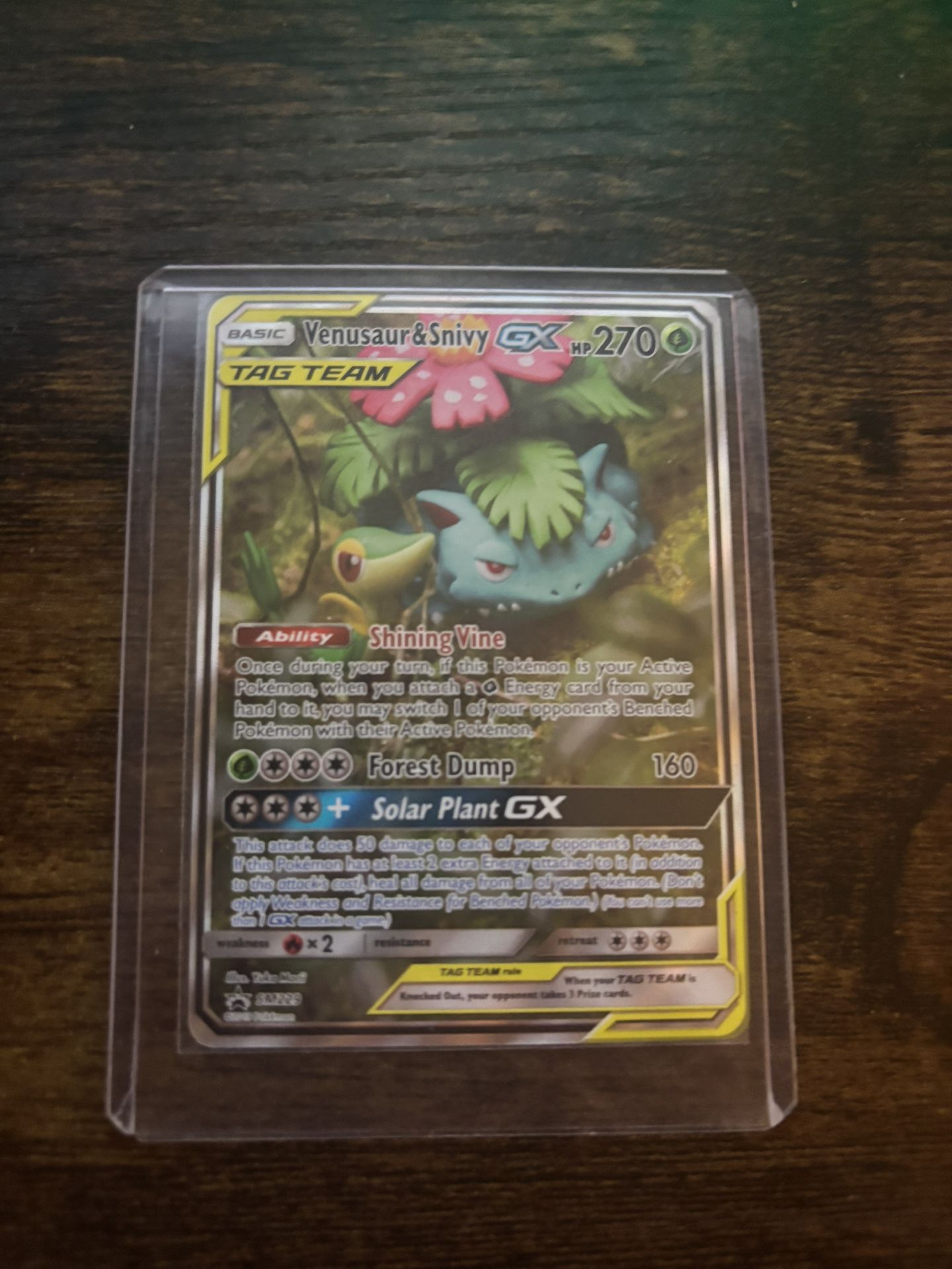 Venusaur And Snivy GX Tag Team Promo