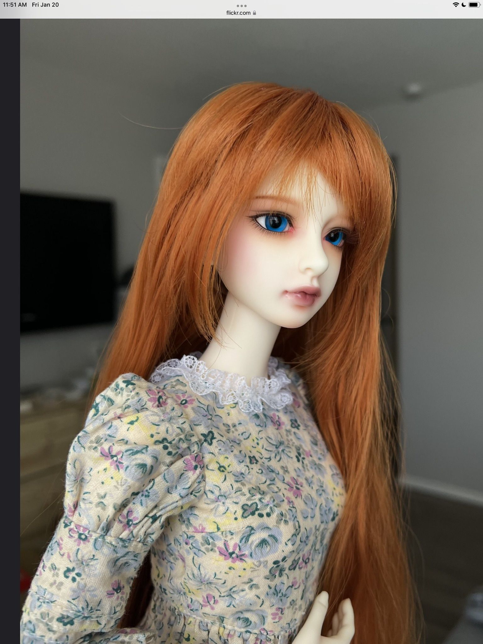 BJD dolls Fairyland Fpl60 Momo, Luts Verna