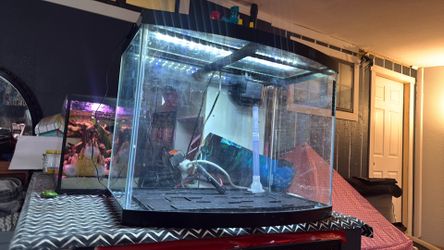 40 gallon bow front full kit