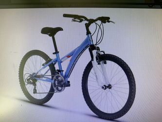 Bicycle - Diamond back