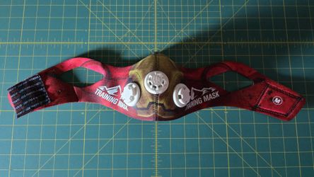 Training Mask