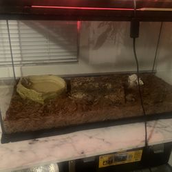 Fish Tank And Everything In It