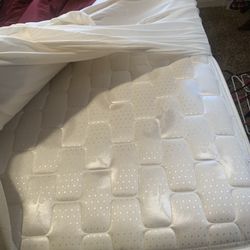 Twin Bed