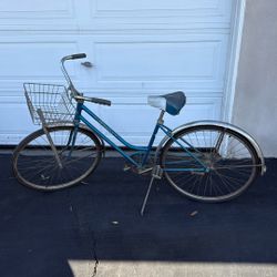 Schwinn Classic Bike