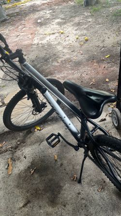Bicicletas