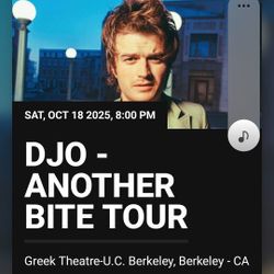 2 Tickets GA Djo