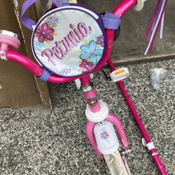 Schwinn Grit and Petunia Kids Bike For Boys & Girls, 12-Inch Wheels, Ages 2-4 Year Old 