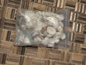 Mixed Small Seashells Bag