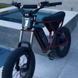 Ridstar q20 1500w 20ah