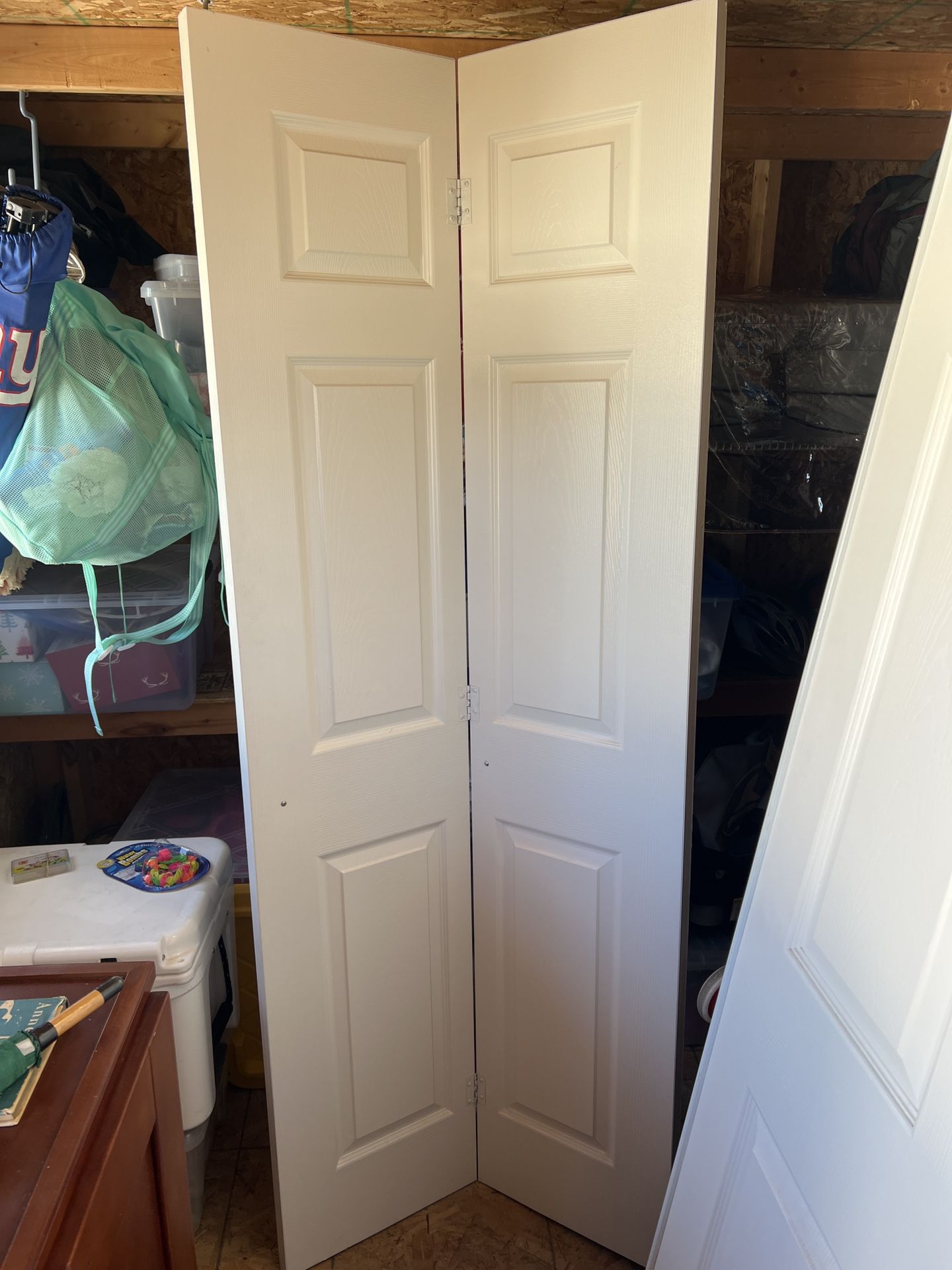 Bifold Door- closet 