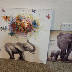 Elephant pictures