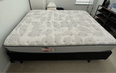 Sealy Queen Mattress with Box Spring and Metal Frame