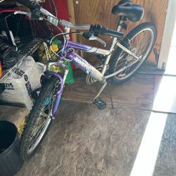 Roadmaster Bike
