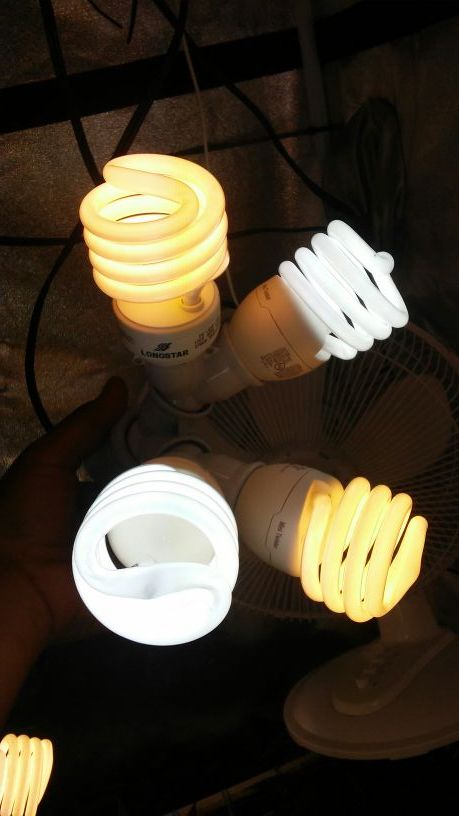CFL Grow Light
