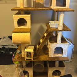 Cat Tower