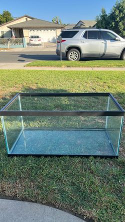40 gallon Tank