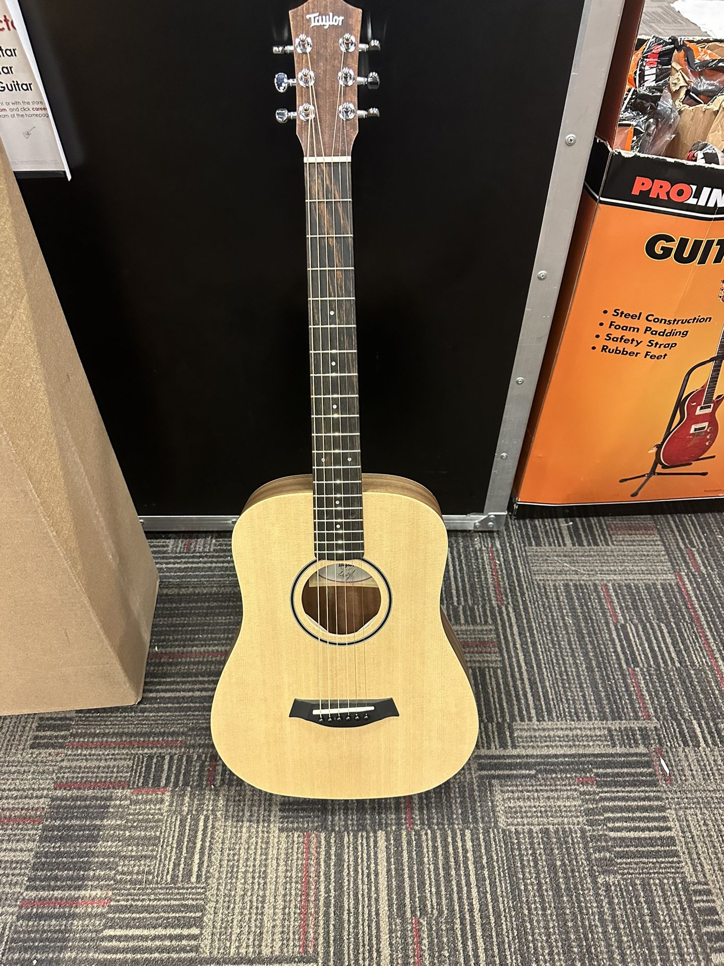 Brand New Guitar (Taylor)