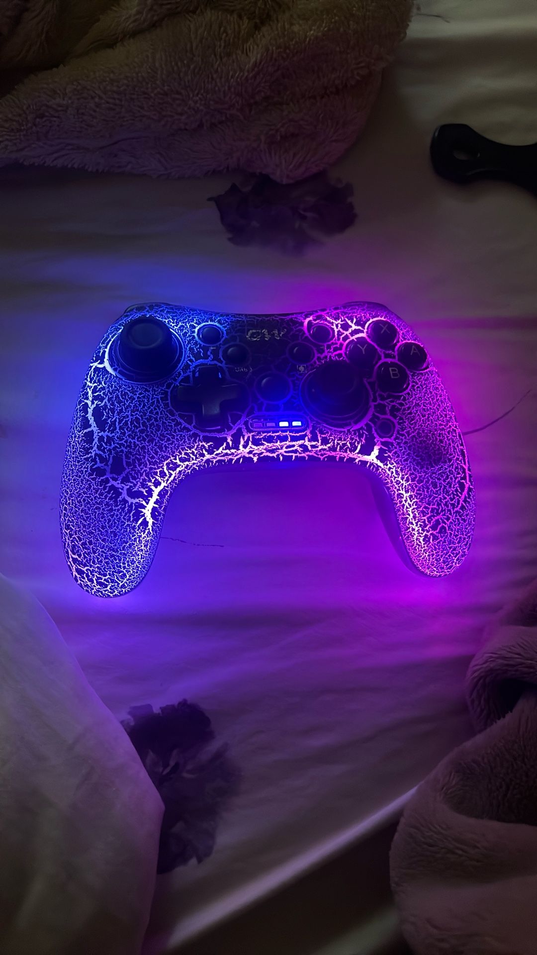 Nintendo Switch Controller 