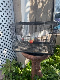 bird cage