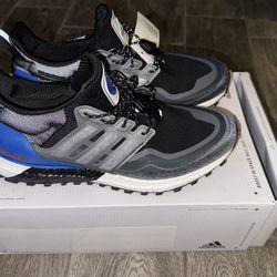 Adidas Ultra Boost Men's Size 8 NASA