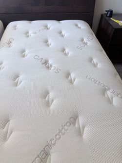 Soft TxL mattress. Like new