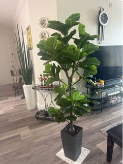 Pretty artificial plant 6 ft tall Fig tree with planter ! Brand New