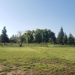 RV AND BOAT storage " MANTECA "