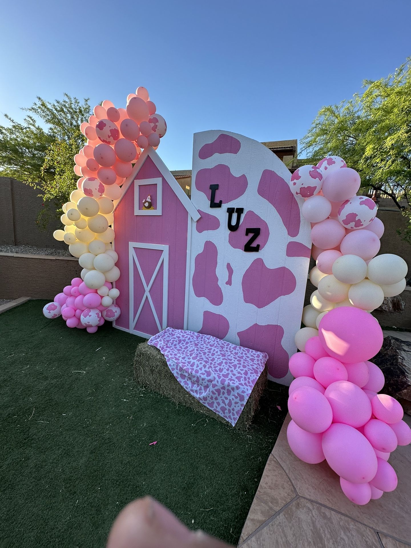 Farm Theme Photo Opp