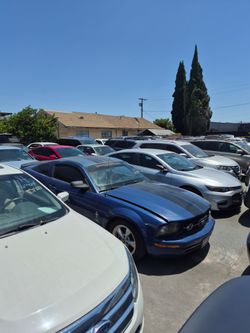 Public auctions