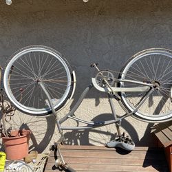Beach Cruiser