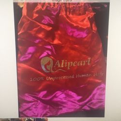 A Gently Used Ali Pearl Women’s Wig With Bag And Wig Cap