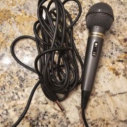 Panasonic Microphone 
