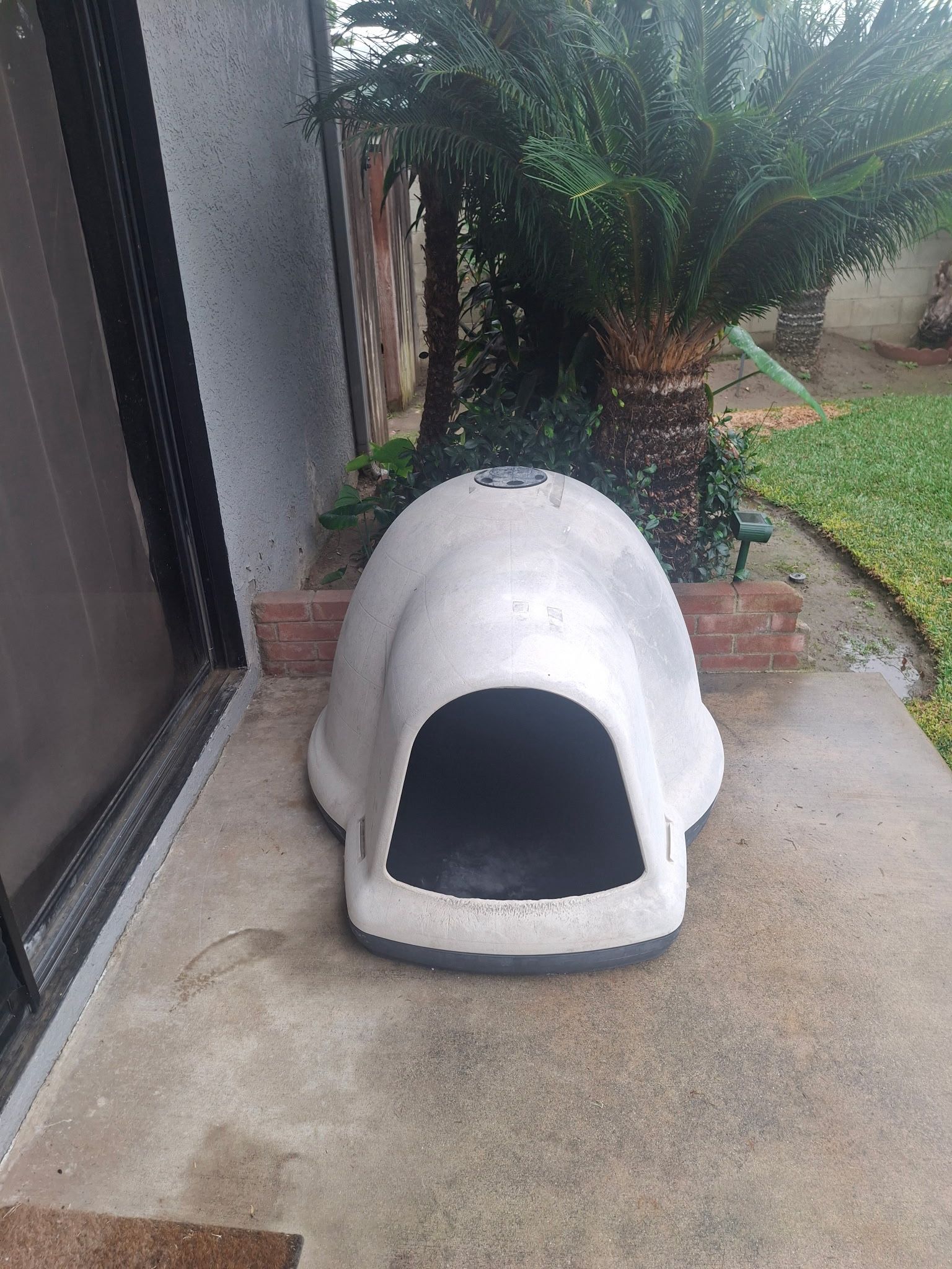 Igloo Dog House