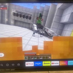 33” HDMI TV