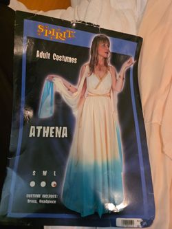 Athena Goddess Costume