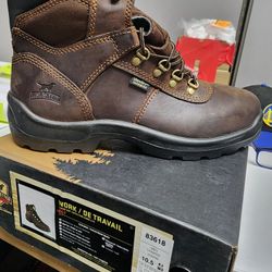 Red Wings 10.5 New