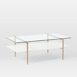 West Elm Art Display Coffee Table
